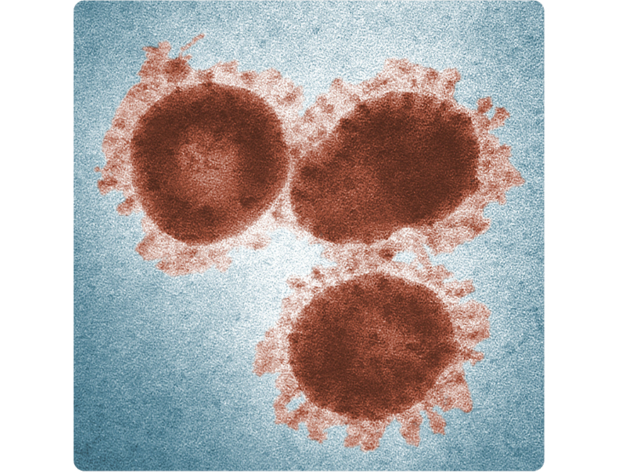 purificateurs d’air bacteria
