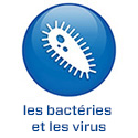 FR - 2022 - BS5.2 - Bacteriën/virussen (.fr)