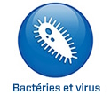 FR - 2022 - BS5.2 - Bacteriën/virussen (.fr)