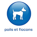 FR - 2022 - BS5.6 - Huidschilfers (.fr)