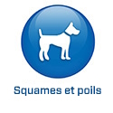 FR - 2022 - BS5.6 - Huidschilfers (.fr)