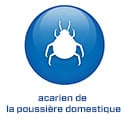 FR - 2022 - BS5.8 - Huisstofmijt (.fr)