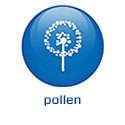 FR - 2022 - BS5.4 - Pollen (.fr)