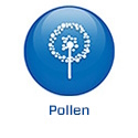 FR - 2022 - BS5.4 - Pollen (.fr)