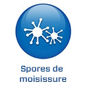 FR - 2022 - BS5.7 - Schimmelsporen (.fr)